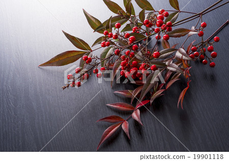 Japanese Material 19901118