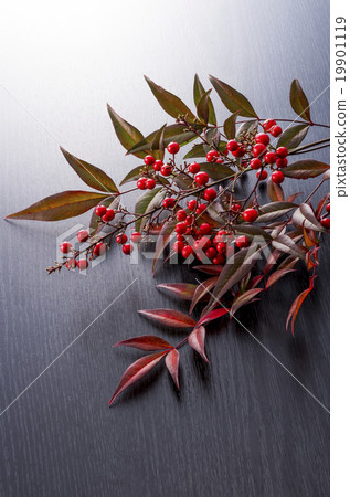 日本材料 19901119