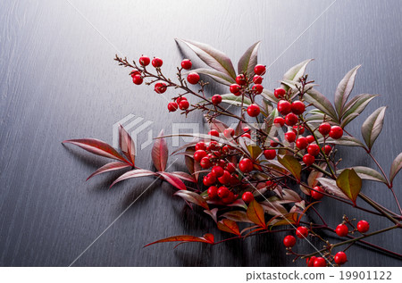 日本材料 19901122