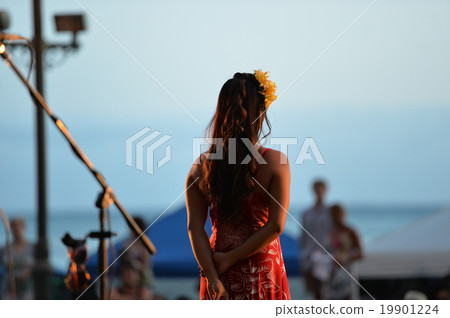 Hula 2 Hula 2 19901224