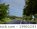 Rainbow 19901243