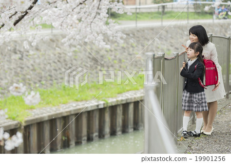 櫻花·入學典禮 櫻花·入學典禮 19901256