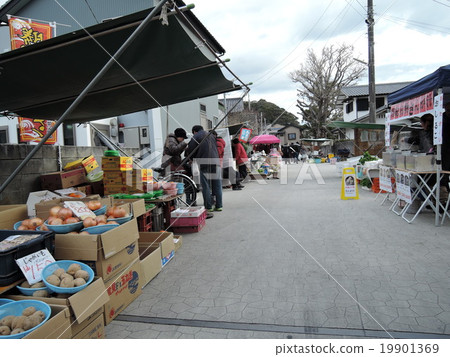 勝浦早市 19901369