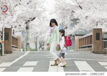 Sakura · entrance ceremony 19901397