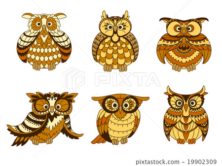 Cartoon owls with brown and orange plumage Cartoon owls with brown and orange plumage 19902309