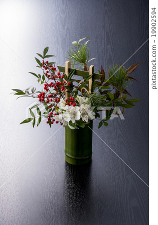 Lively flower 19902594