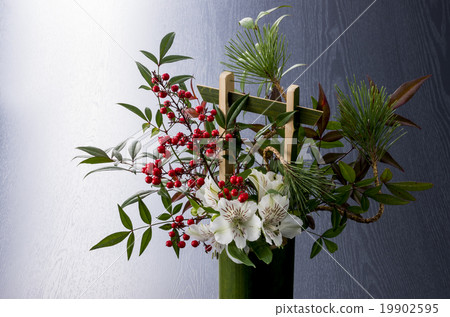 活潑的花朵 19902595