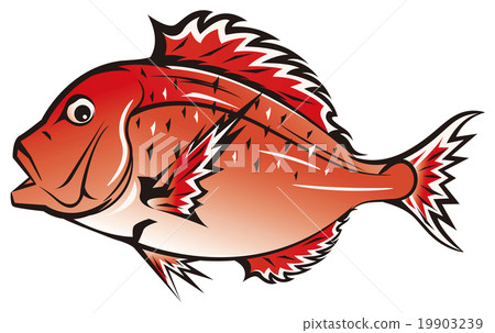  Red snapper 19903239