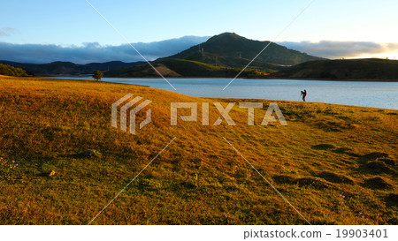 landscape,  Dalat , Vietnam, pine forest, lake 19903401