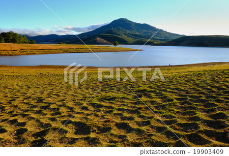 landscape,  Dalat , Vietnam, pine forest, lake 19903409