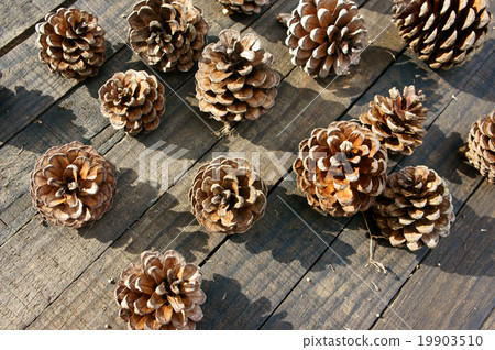 pine cone, Christmas, pinecone, xmas pine cone, Christmas, pinecone, xmas 19903510
