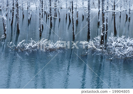 Blue pond Blue pond 19904805