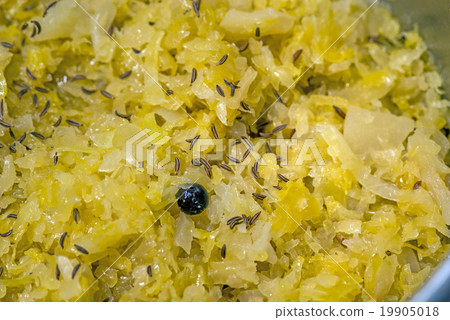 German deli Sauerkraut German deli Sauerkraut 19905018