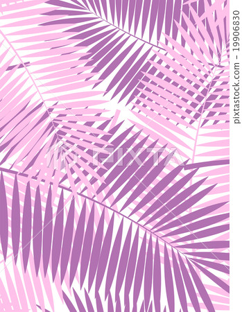 Palm Leaf Vector Frame Background Illustration 19906830