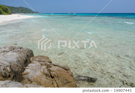 White sand beach of tropical crystal clear water 19907445