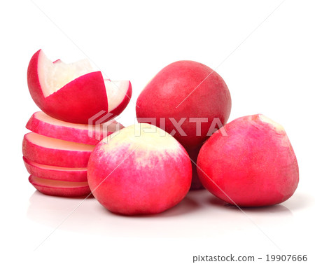 radish isolated on white 19907666