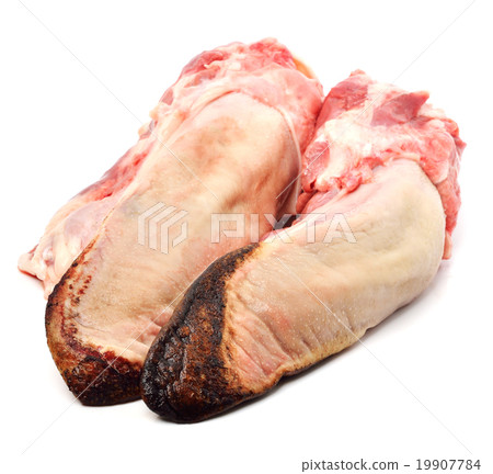 pork tongue 19907784