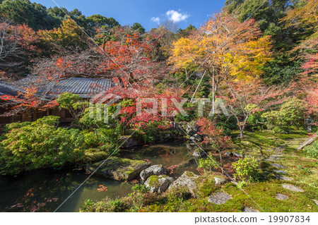 Mitsubishi Garden 19907834