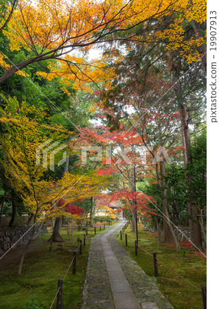 Autumn Kaohsiung Autumn Kaohsiung 19907913
