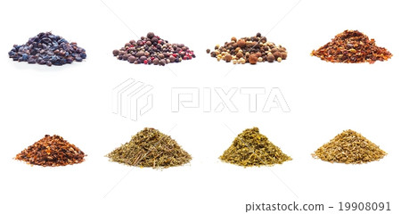 Colorful spices variety collection 19908091
