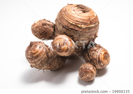 Tasting "parent potato", "child potato" and "grandson potato" 19908135
