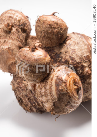 品嚐“母馬鈴薯”,“兒童馬鈴薯”和“孫子馬鈴薯” 品嚐“母馬鈴薯”,“兒童馬鈴薯”和“孫子馬鈴薯” 19908140