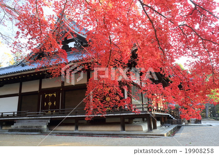 Ninna-ji Temple in Kyoto autumn 19908258