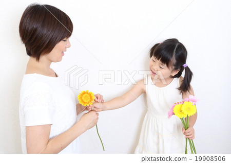 非洲菊和父母和孩子 19908506