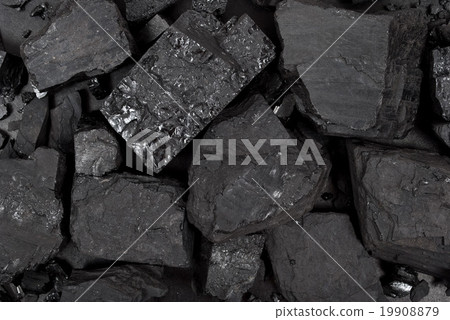 Coal Coal 19908879