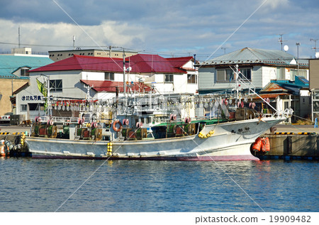 函館步行：進入漁港 19909482