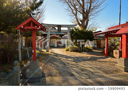 Walk of Hakodate: Itsukushima Shrine 19909493