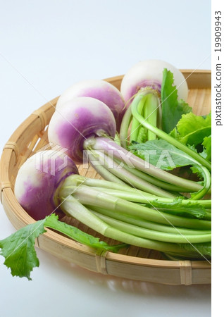 小蘿蔔 小蘿蔔 19909943