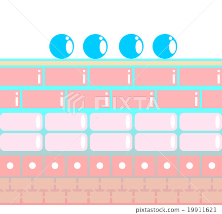 皮膚保濕 19911621