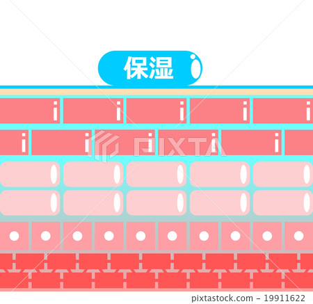 皮膚保濕 19911622
