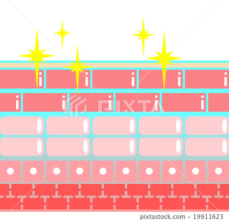 皮膚保濕 皮膚保濕 19911623