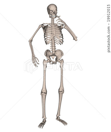 Skeleton Smoking a Cigarette 19912015