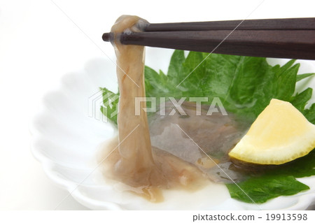 海洋腸道 19913598