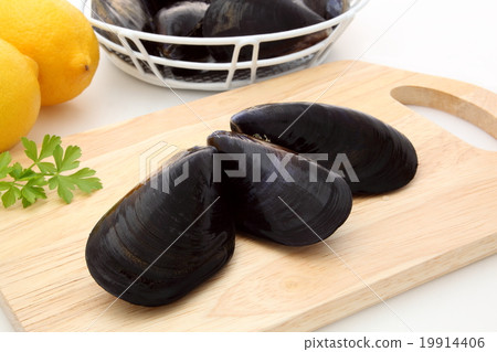 mussels	 19914406