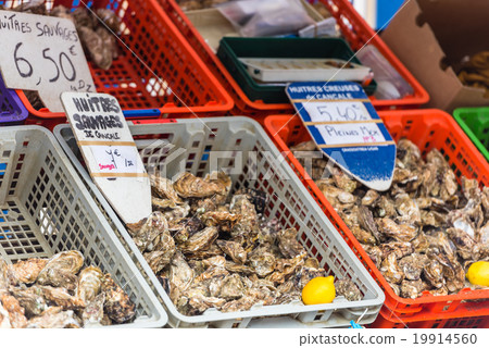 Oysters market in Cancale, France Oysters market in Cancale, France 19914560