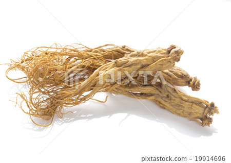 Ginseng 19914696