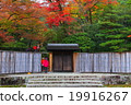 Autumn leaves 19916267