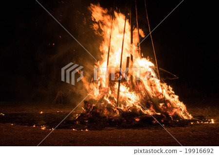 Donburi（茨城縣都靈市的Arbori）2016 19916692