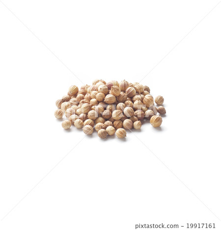 coriander 19917161