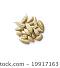 cardamom 19917163