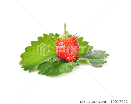 Strawberries on wood texture Strawberries on wood texture 19917422