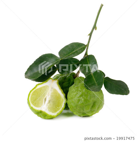 Bergamot fruit on white background Bergamot fruit on white background 19917475
