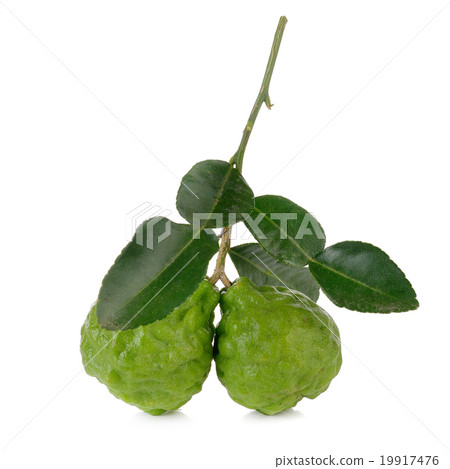Bergamot fruit on white background Bergamot fruit on white background 19917476
