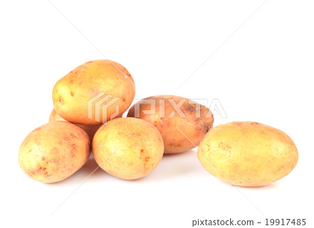 Fresh potato isolated on white background Fresh potato isolated on white background 19917485