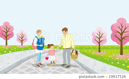 Parent and child walking path cherry blossoms 19917526