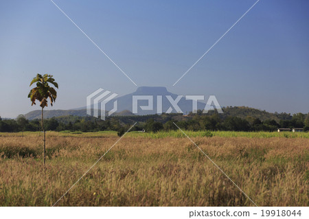 Mountain which is called Mt. Fuji in Thailand Loei Province, Thailand Mountain which is called Mt. Fuji in Thailand Loei Province, Thailand 19918044